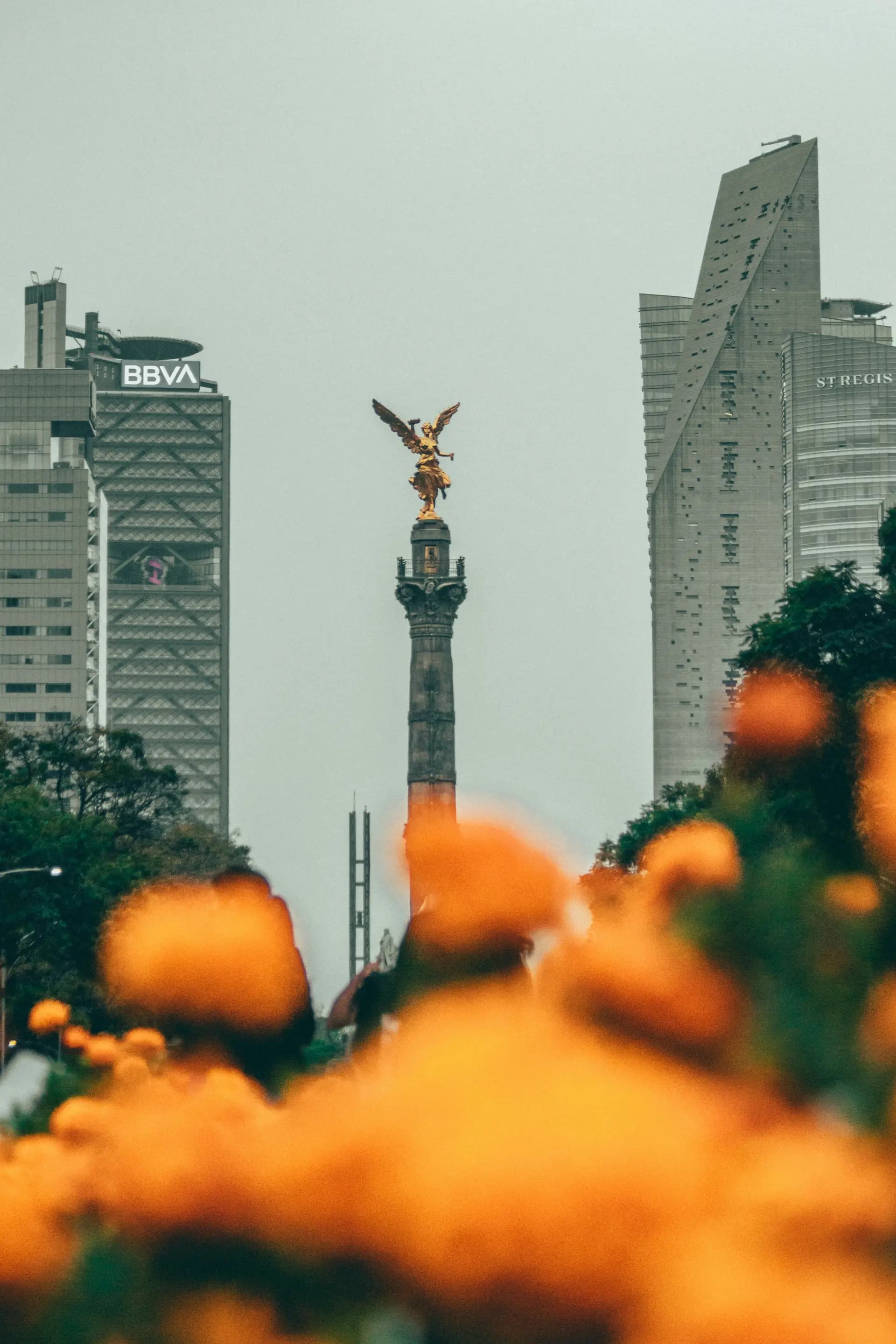 Proveedores
Mexicanos
